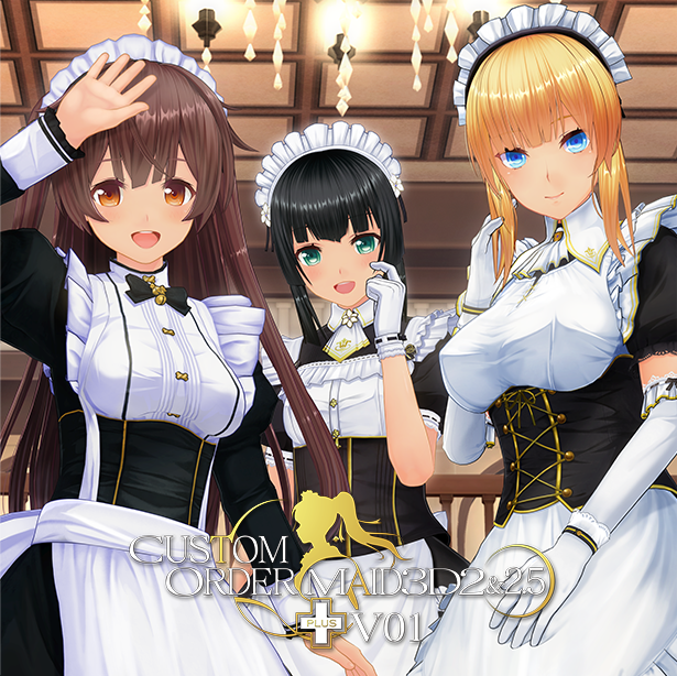 CUSTOM ORDER MAID 3D2&2.5 + V01