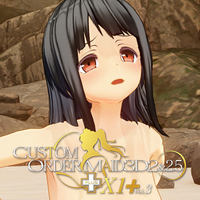 [Sale]CUSTOM ORDER MAID 3D2&2.5+ X1+Vol.03